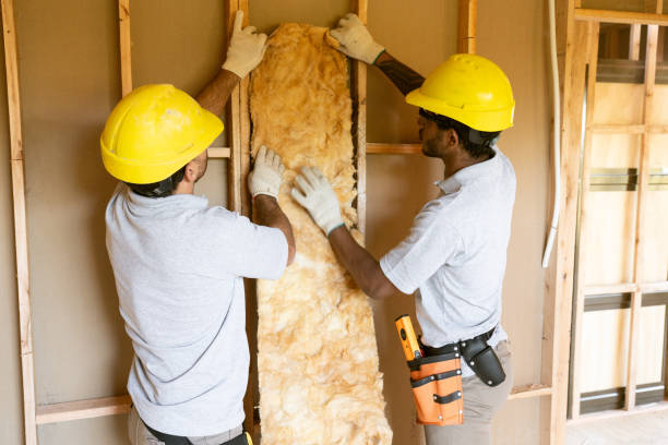  Caon City, CO Insulation Services Pros