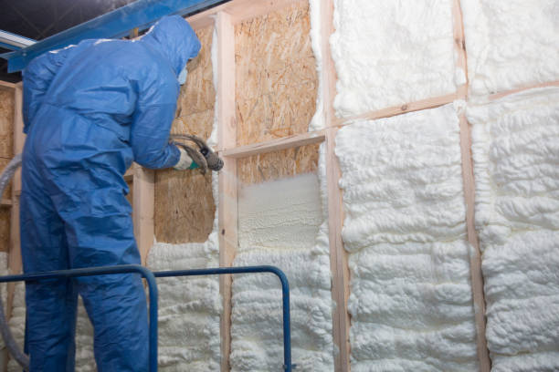 Best Commercial Insulation Services  in Caon City, CO